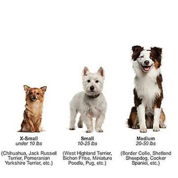 Youngever 8 Durable Dog Chew Toys, Puppy Toys, Dog Rope Toys Value Pack, Puppy Teething Toys for Small and Medium Dogs