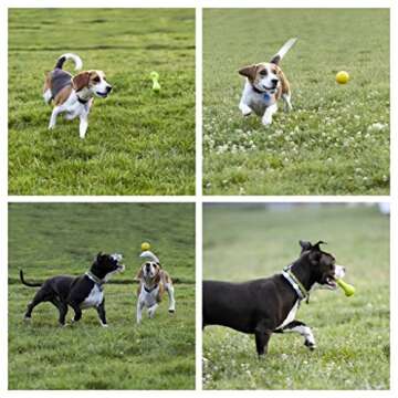 Youngever 8 Durable Dog Chew Toys, Puppy Toys, Dog Rope Toys Value Pack, Puppy Teething Toys for Small and Medium Dogs