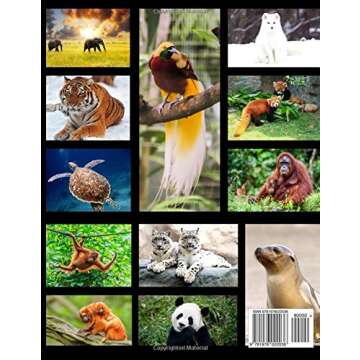 All About Endangered Species - Science & Research Study Guide: Learn All About Rare and Beautiful An...