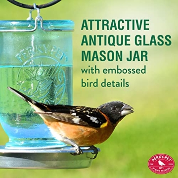 Perky-Pet 1 Mason Jar Wild Bird Waterer - Blue Charming Design