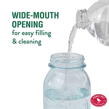 Perky-Pet 1 Mason Jar Wild Bird Waterer - Blue Charming Design