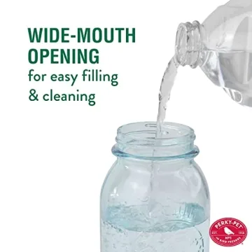 Perky-Pet 1 Mason Jar Wild Bird Waterer - Blue Charming Design