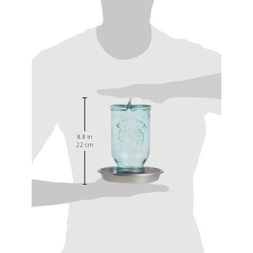 Perky-Pet 1 Mason Jar Wild Bird Waterer - Blue Charming Design