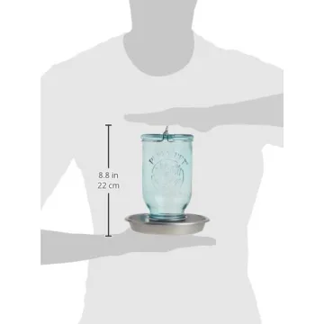 Perky-Pet 1 Mason Jar Wild Bird Waterer - Blue Charming Design