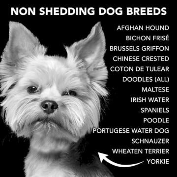 Pride and Groom Non Shedder Box Set for Dogs - Natural Shampoo & Conditioner