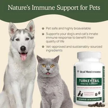 Turkey Tail Pet Support - Immune & Gut Health for Pets