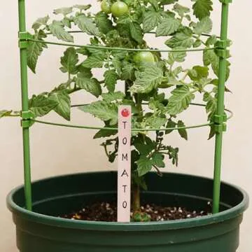 25 Pack Paint Stir Sticks for Creative Mixing and Gardening