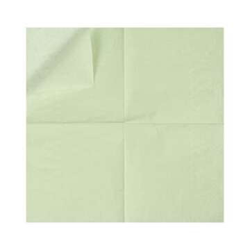 100 Pack Cocktail Napkin 2-Ply Dessert Napkins Folded 5 x 5 Inches Disposable Napkins for Dinner Wedding Birthday Party Bridal Anniversary Reception Event (100, Sage-Green)