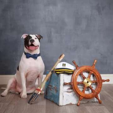 Lionet Paws Bowtie Dog Collar, Adjustable & Stylish