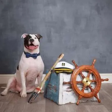 Lionet Paws Bowtie Dog Collar, Adjustable & Stylish