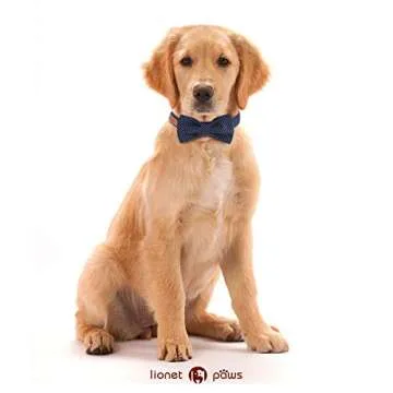 Lionet Paws Bowtie Dog Collar, Adjustable & Stylish