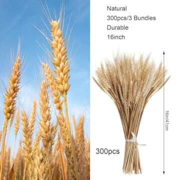 MHMJON 300PCS Dried Flowers Dried Wheat Stalks for Decor 16" Dry Flowers Dried Flowers Arrangement f...