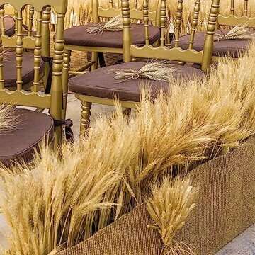 MHMJON 300PCS Dried Flowers Dried Wheat Stalks for Decor 16" Dry Flowers Dried Flowers Arrangement for Home Wedding Party Table Centerpieces DIY Design Farmhouse Decor