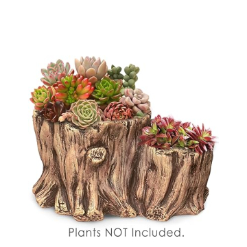 Stunning Dahlia Driftwood Stump Planter for Indoor Plants