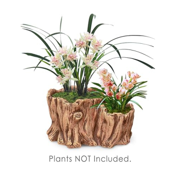 Stunning Dahlia Driftwood Stump Planter for Indoor Plants