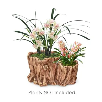 Stunning Dahlia Driftwood Stump Planter for Indoor Plants