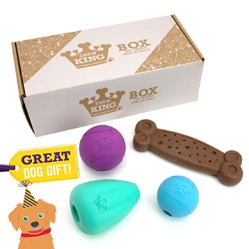 Chew King Dog Box Large- Durable Fetch Balls, Treater and Chewing Toy Collection, Teal (CM-10100-CS0...