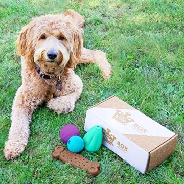 Chew King Dog Box: Durable Toys for Active Dogs