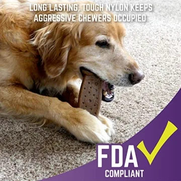 Chew King Dog Box: Durable Toys for Active Dogs