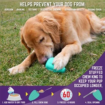 Chew King Dog Box: Durable Toys for Active Dogs