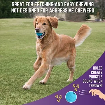 Chew King Dog Box: Durable Toys for Active Dogs