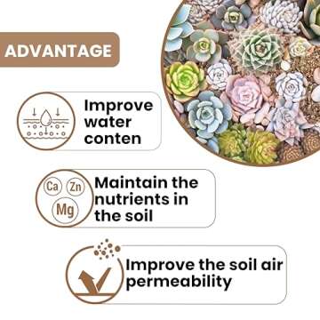 12QT Organic Vermiculite for Plants and Gardening