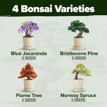 Bonsai Tree Kit - Gifts for Men & Women - Grow 4 Bonsai Trees - Unique Gardening Crafts for Adults, DIY Hobbies for Plant Lovers & Gardeners - Unusual Christmas Gift Ideas for Mom & Dad