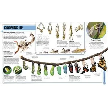 Super Bug Encyclopedia: The Biggest, Fastest, Deadliest Creepy-Crawlers on the Planet (DK Super Nature Encyclopedias)