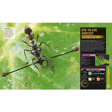 Super Bug Encyclopedia: The Biggest, Fastest, Deadliest Creepy-Crawlers on the Planet (DK Super Nature Encyclopedias)