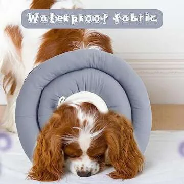 Soft Dog Cone for Small Dogs Adjustable Protective Recovery