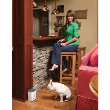 PetSafe Train N Praise Dog Treat Dispenser