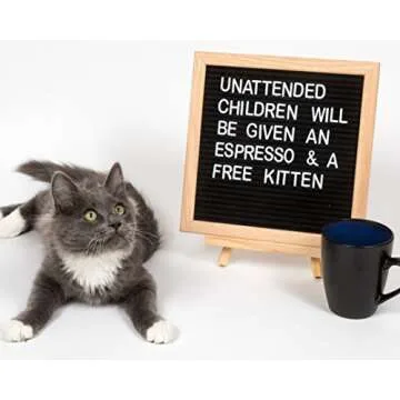 ACO Premium Solid Oak Framed Felt Changeable Letter Board 10 x 10, with Free Canvas Bag, 340 Characters, Emojis, Numbers & Punctuation, Wall Mounting Hook, Wooden Stand, and Cutting Scissors!