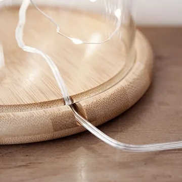 Stylish Glass Cloche with Bamboo Base for Indoor Displays