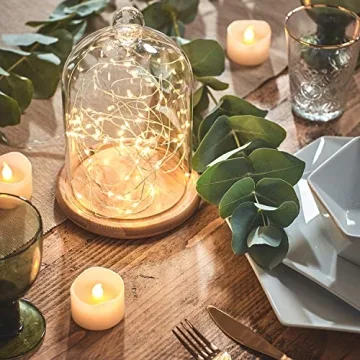 Stylish Glass Cloche with Bamboo Base for Indoor Displays