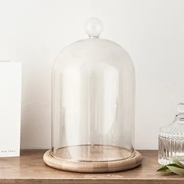 Stylish Glass Cloche with Bamboo Base for Indoor Displays