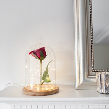 Stylish Glass Cloche with Bamboo Base for Indoor Displays