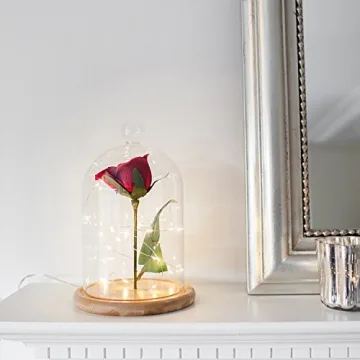 Stylish Glass Cloche with Bamboo Base for Indoor Displays