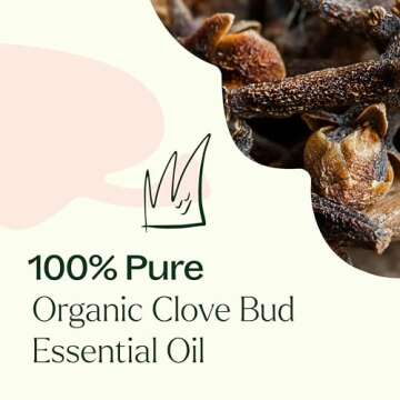 Plant Therapy Organic Clove Bud Essential Oil 100% Pure, USDA Certified Organic, Undiluted, Natural Aromatherapy, Therapeutic Grade 10 mL (⅓ oz)