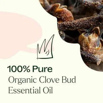 Plant Therapy Organic Clove Bud Essential Oil 100% Pure, USDA Certified Organic, Undiluted, Natural Aromatherapy, Therapeutic Grade 10 mL (⅓ oz)
