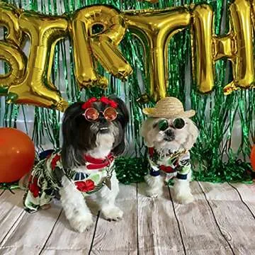 Weewooday 6 Pieces Dog Cat Costume, Pet Sunglasses and Summer Straw Hat with Faux Gold Chain Collar, Classic Funny Pet Accessories for Cat Puppy Small Medium Dog(Cute Style)