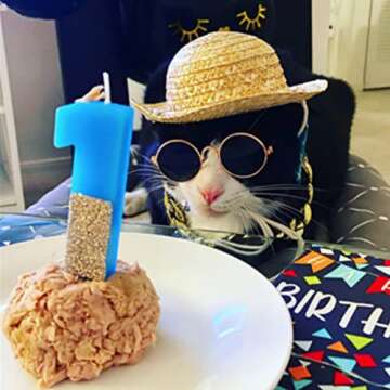 Weewooday 6 Pieces Dog Cat Costume, Pet Sunglasses and Summer Straw Hat with Faux Gold Chain Collar, Classic Funny Pet Accessories for Cat Puppy Small Medium Dog(Cute Style)