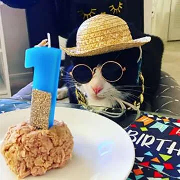 Weewooday 6 Pieces Dog Cat Costume, Pet Sunglasses and Summer Straw Hat with Faux Gold Chain Collar, Classic Funny Pet Accessories for Cat Puppy Small Medium Dog(Cute Style)