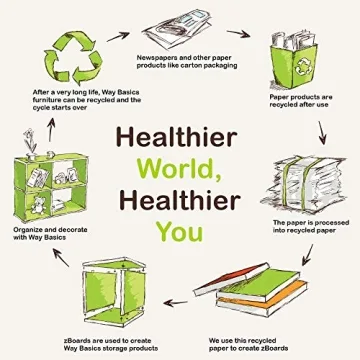 Way Basics Recycled Paperboard 4 Cubby Shelf Tool-Free Assembly