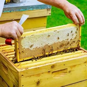 KINGLAKE Hive Tool: Durable Beekeeping Scraper & Lifter