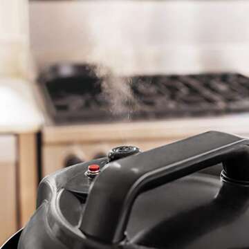 Ninja Instant, 1000-Watt Pressure, Slow, Multi Cooker, and Steamer with 6-Quart Ceramic Coated Pot & Steam Rack (PC101), Si, Black/Silver