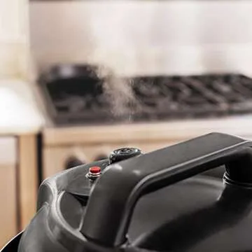 Ninja Instant, 1000-Watt Pressure, Slow, Multi Cooker, and Steamer with 6-Quart Ceramic Coated Pot & Steam Rack (PC101), Si, Black/Silver