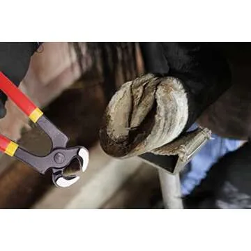 8 inch Farrier Tool Kits （7 Piece） Mini Rasp Hoof File Goat Pig Equine Metal Shears Professional Farriers Hoof Nipper Cutter Handle Knife