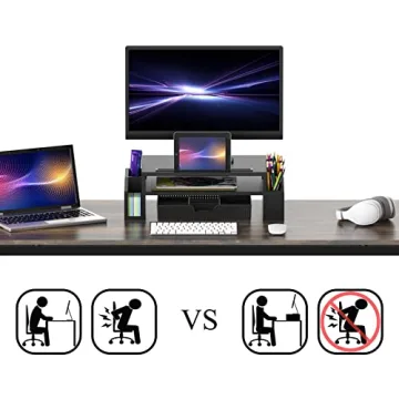 Black Desk Monitor Stand with Adjustable Organizer