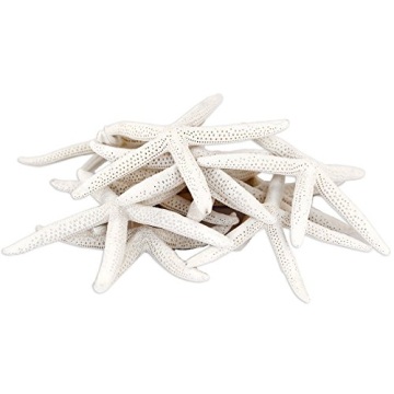Starfish Sea Stars - All-Natural White Decorative Starfish Finger Shells - 10-Count (6-8 Inch) - Whi...