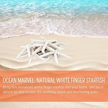 All-Natural White Decorative Starfish for Home Decor